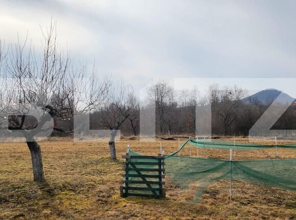 Teren de vânzare Periferie - 189401TV | BLITZ Bistriţa | Poza3