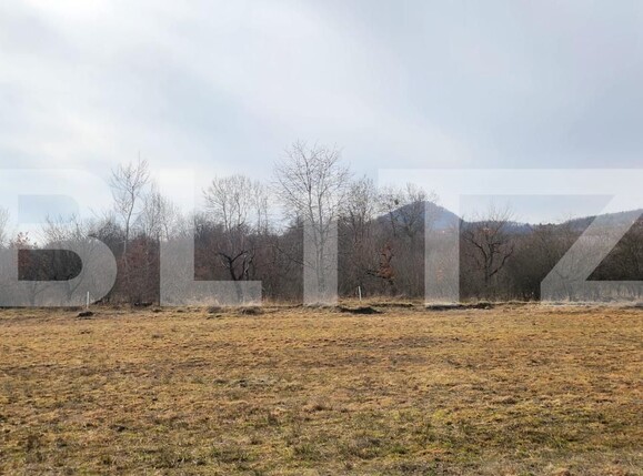 Teren de vânzare Periferie - 189401TV | BLITZ Bistriţa | Poza2