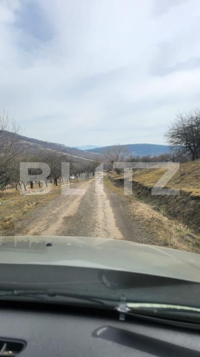 Teren de vânzare Periferie - 189401TV | BLITZ Bistriţa | Poza4