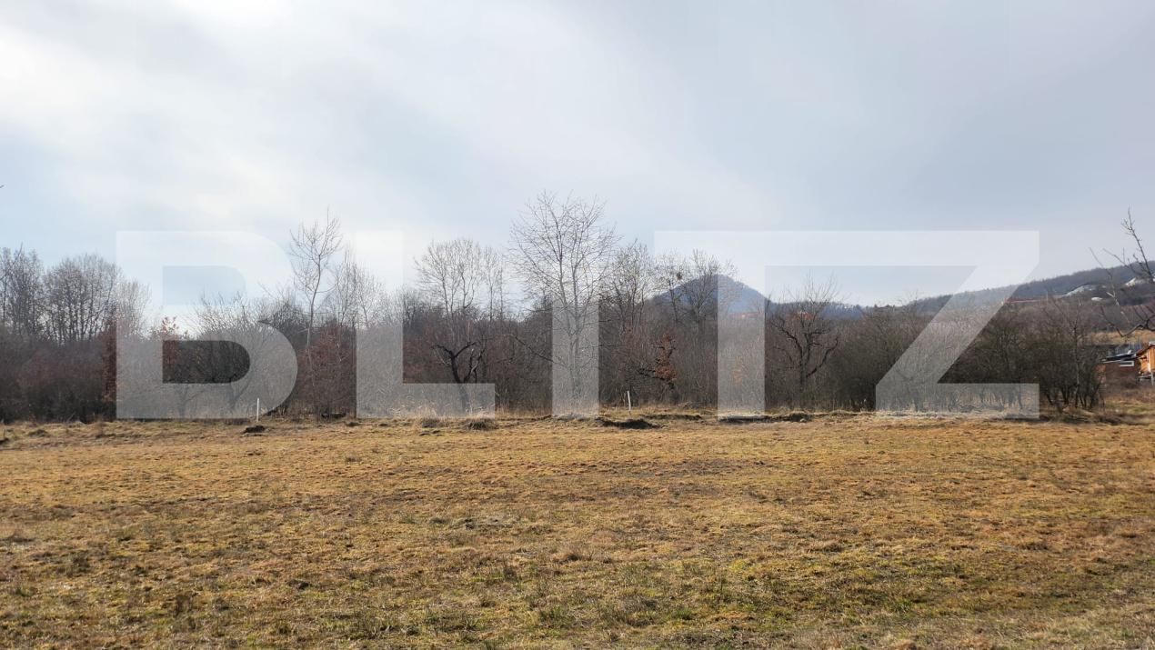 Teren de vânzare Periferie - 189401TV | BLITZ Bistriţa | Poza2