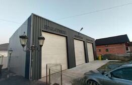 Hala de inchiriat, pretabil afacere, Lechinta