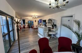 Casa noua de vanzare, finisata, Lechinta