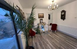 Casa noua de vanzare, finisata, Lechinta