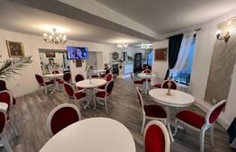 Casa noua de vanzare, finisata, Lechinta