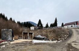 Teren de 10 ari, zona Colibita langa lac