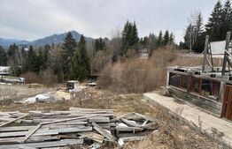 Teren de 10 ari, zona Colibita langa lac