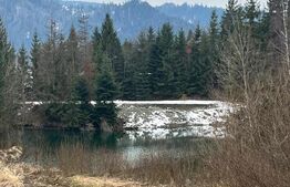 Teren de 10 ari, zona Colibita langa lac