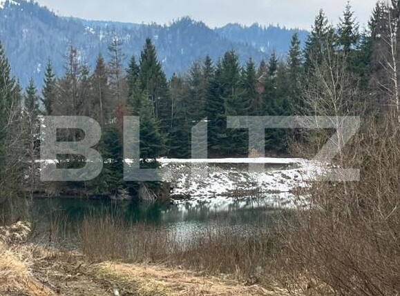 Teren de vânzare Colibiţa - 189492TV | BLITZ Bistriţa | Poza1