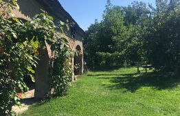 Casă individuală de vanzare, 130 mp + 800 mp teren - Livezile