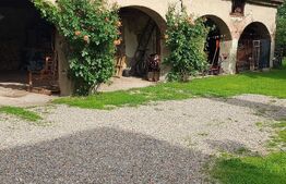 Casă individuală de vanzare, 130 mp + 800 mp teren - Livezile