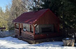 Casa/Cabana langa Piatra Fantanele 