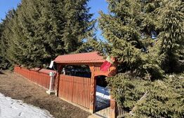 Casa/Cabana langa Piatra Fantanele 