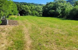 Teren intravilan de vanzare, 534 mp, strada Ghinzii