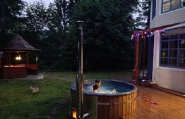 Investiție rară la Colibița – 3 cabane aproape de lac, ideale pentru turism!