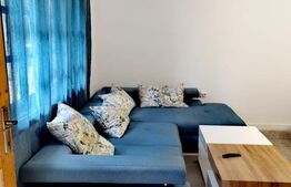 Investiție rară la Colibița – 3 cabane aproape de lac, ideale pentru turism!