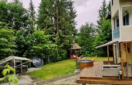 Investiție rară la Colibița – 3 cabane aproape de lac, ideale pentru turism!