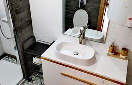 Investiție rară la Colibița – 3 cabane aproape de lac, ideale pentru turism!