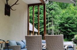 Investiție rară la Colibița – 3 cabane aproape de lac, ideale pentru turism!