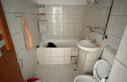 Apartament cu 2 camere, zona Centrala