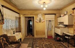 Două case de vanzare pe un teren generos de 4.605 mp, la 20 min de Bistrița