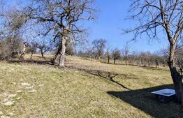 Două case de vanzare pe un teren generos de 4.605 mp, la 20 min de Bistrița