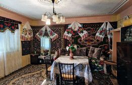 Două case de vanzare pe un teren generos de 4.605 mp, la 20 min de Bistrița