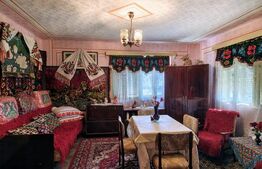 Două case de vanzare pe un teren generos de 4.605 mp, la 20 min de Bistrița