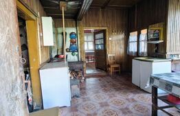 Două case de vanzare pe un teren generos de 4.605 mp, la 20 min de Bistrița