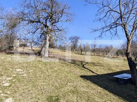 Casa de vânzare 4 camere Exterior Nord - 189955CV | BLITZ Bistriţa | Poza7