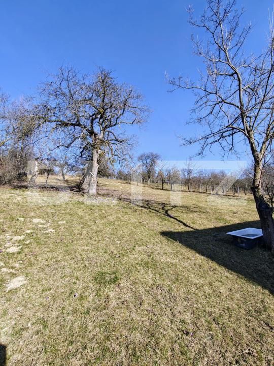 Casa de vânzare 4 camere Exterior Nord - 189955CV | BLITZ Bistriţa | Poza10