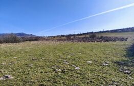 Teren de vânzare Exterior Vest - 172751TV | BLITZ Bistriţa | Poza2