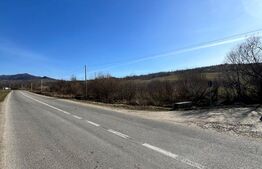 Teren intravilan – Cusma | 50 ari | Zona linistita 