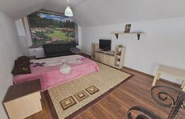Casa de Vanzare - Rusu Bargaului
