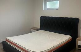 Casă cu 5 apartamente de vânzare - 317 mp - Investiţie EXCELENTĂ - Zona DECEBAL