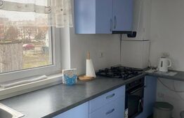 Casă cu 5 apartamente de vânzare - 317 mp - Investiţie EXCELENTĂ - Zona DECEBAL