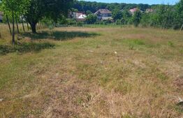 2000 MP TEREN INTRAVILAN IN ZONA VALEA GHINZII