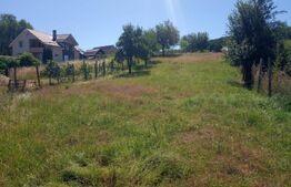 2000 MP TEREN INTRAVILAN IN ZONA VALEA GHINZII