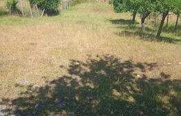 2000 MP TEREN INTRAVILAN IN ZONA VALEA GHINZII