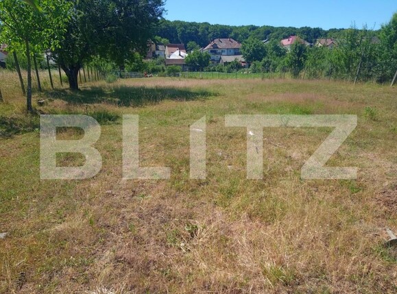 Teren de vânzare Nord-Est - 190343TV | BLITZ Bistriţa | Poza3
