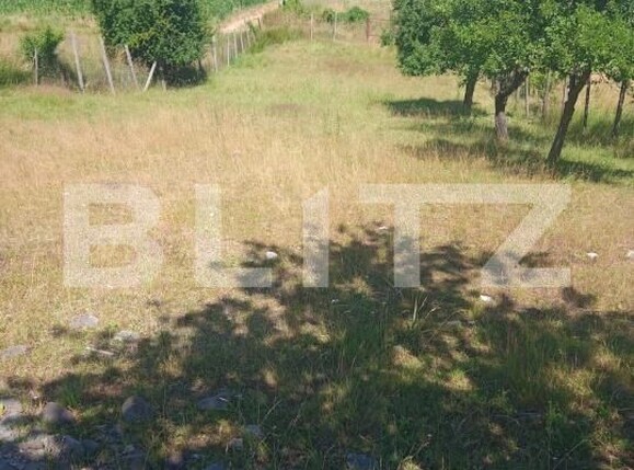 Teren de vânzare Nord-Est - 190343TV | BLITZ Bistriţa | Poza6