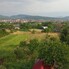 Teren de vânzare Nord-Est - 190343TV - Poza 1 din 6 | BLITZ Bistriţa | Poza6