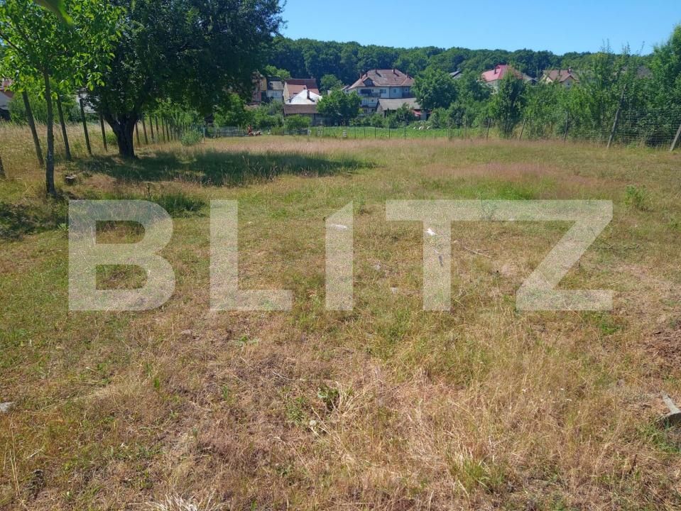 Teren de vânzare Nord-Est - 190343TV | BLITZ Bistriţa | Poza3
