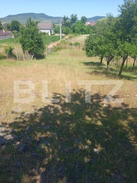 Teren de vânzare Nord-Est - 190343TV | BLITZ Bistriţa | Poza6