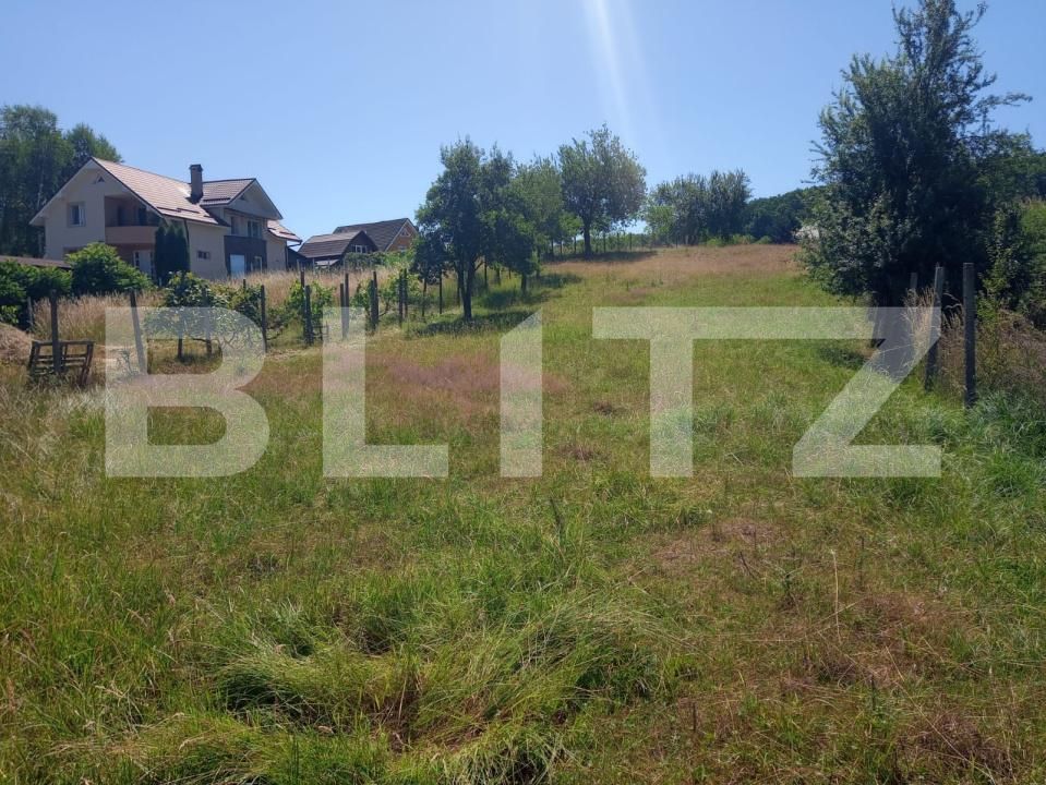 Teren de vânzare Nord-Est - 190343TV | BLITZ Bistriţa | Poza5