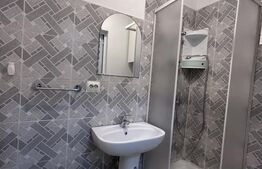 Garsoniera de inchiriat, la casa - zona Independentei