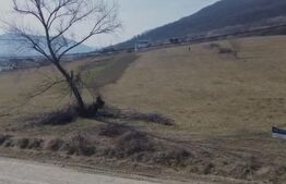 Teren intravilan 4.100 mp – Viisoara, lângă Metaller | Oportunitate de investiți