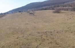 Teren intravilan 4.100 mp – Viisoara, lângă Metaller | Oportunitate de investiți