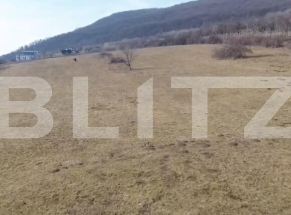 Teren de vânzare Viișoara - 190472TV | BLITZ Bistriţa | Poza3