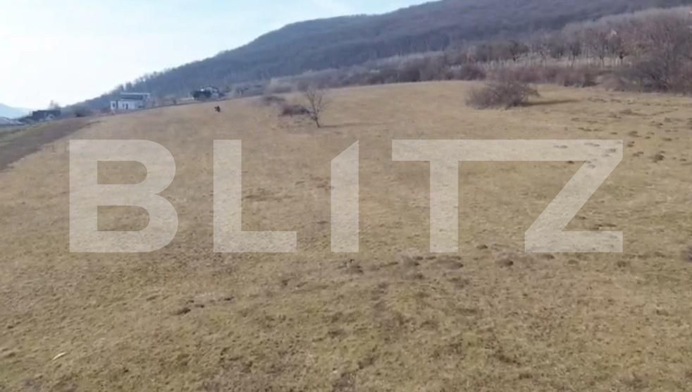 Teren de vânzare Viișoara - 190472TV | BLITZ Bistriţa | Poza3