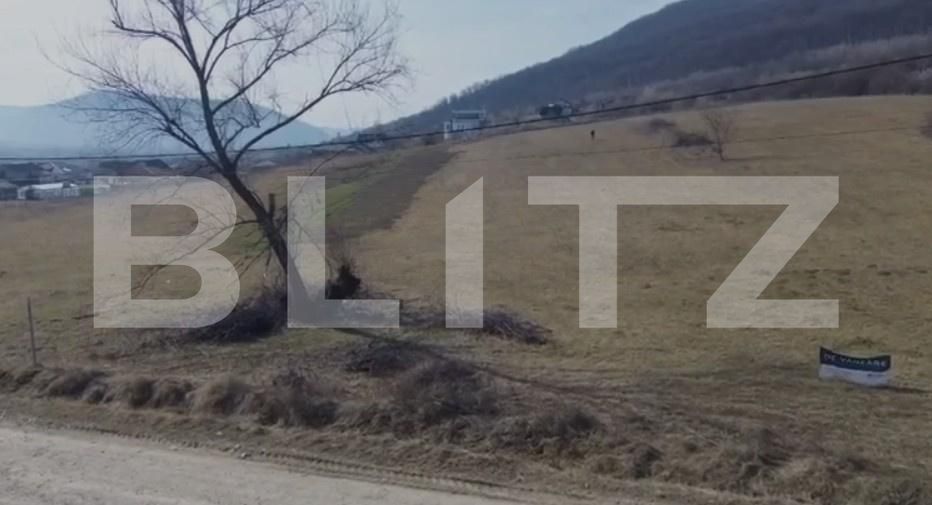 Teren de vânzare Viișoara - 190472TV | BLITZ Bistriţa | Poza4